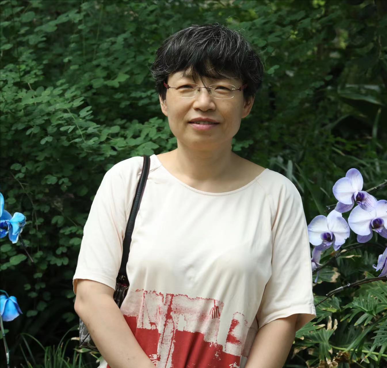  中国玩球官方网创新论坛第一千七百六十五讲：题目1-层状岩体岩浆房冷却过程与钒钛磁铁矿床成因 题目2-辽东中生代岩浆岩壳幔相互作用的岩浆和成矿记录