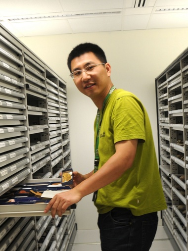 中国玩球官方网创新论坛第一千八百零一讲：虫鸣凤舞伴花香：现代陆地生态系统的起源