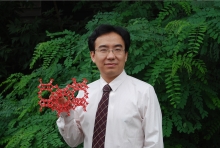 中国玩球官方网创新论坛第一千二百七十三讲暨120周年校庆年系列活动： Unexpected slow diffusion in hierarchical porous materials with combined surface and configurational diffusion   