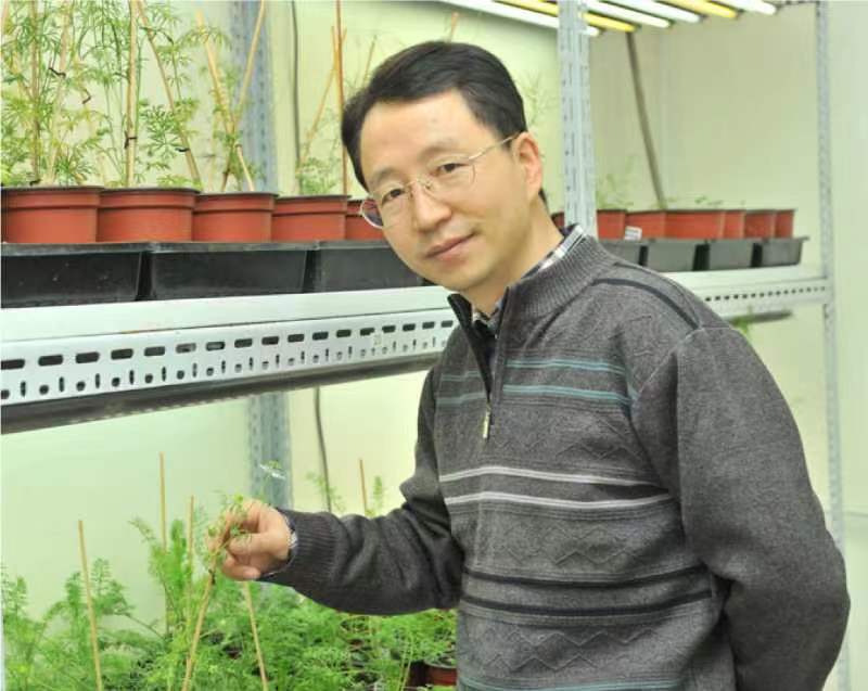 中国玩球官方网创新论坛第一千二百六十八讲暨120周年校庆年系列活动：复杂花瓣的发育与进化