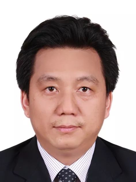 中国玩球官方网创新论坛第一千零五十二讲： 有机染料—功能化及稳定性强化